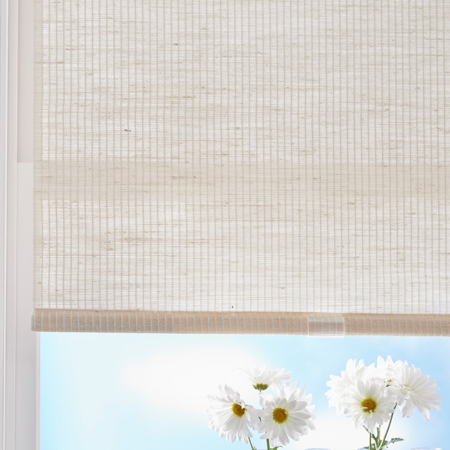 Curtainworks Miami Shade