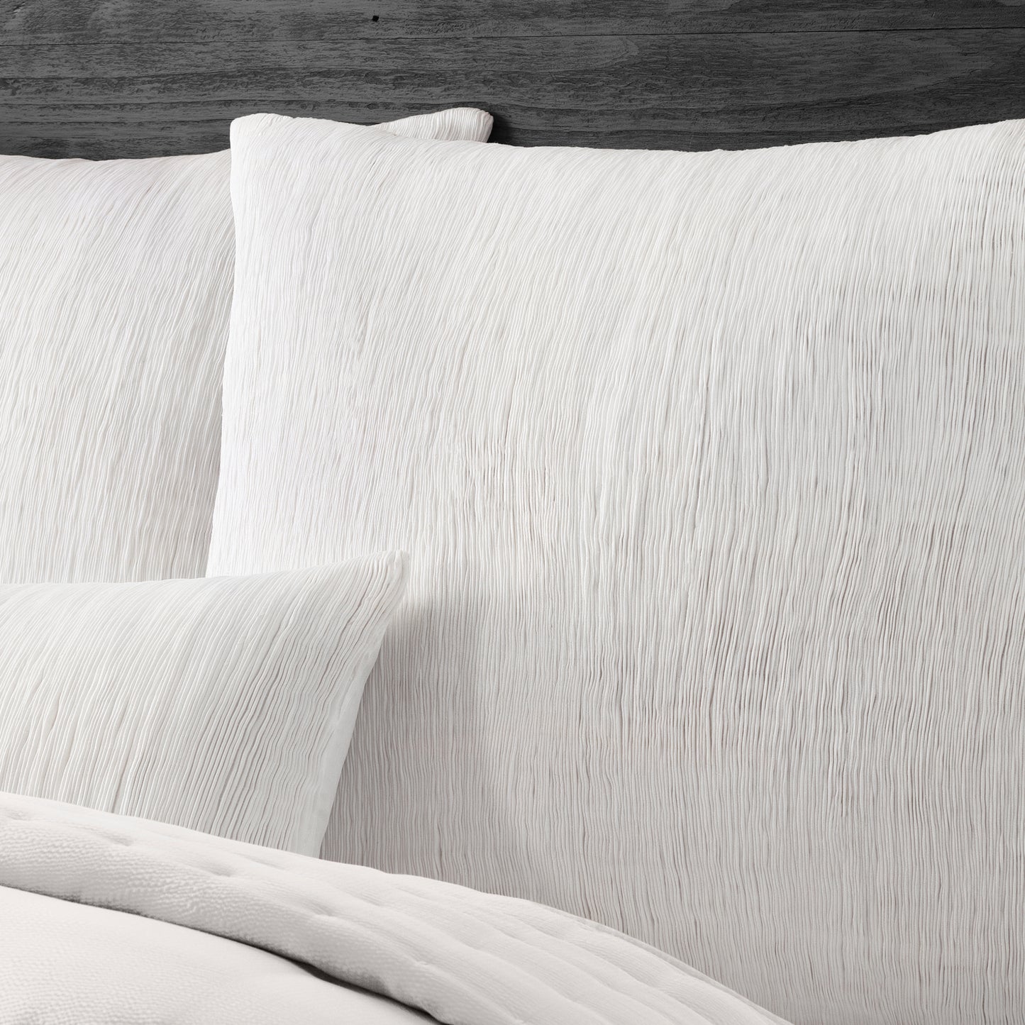 Donna Karan Evolution Euro Sham Collection
