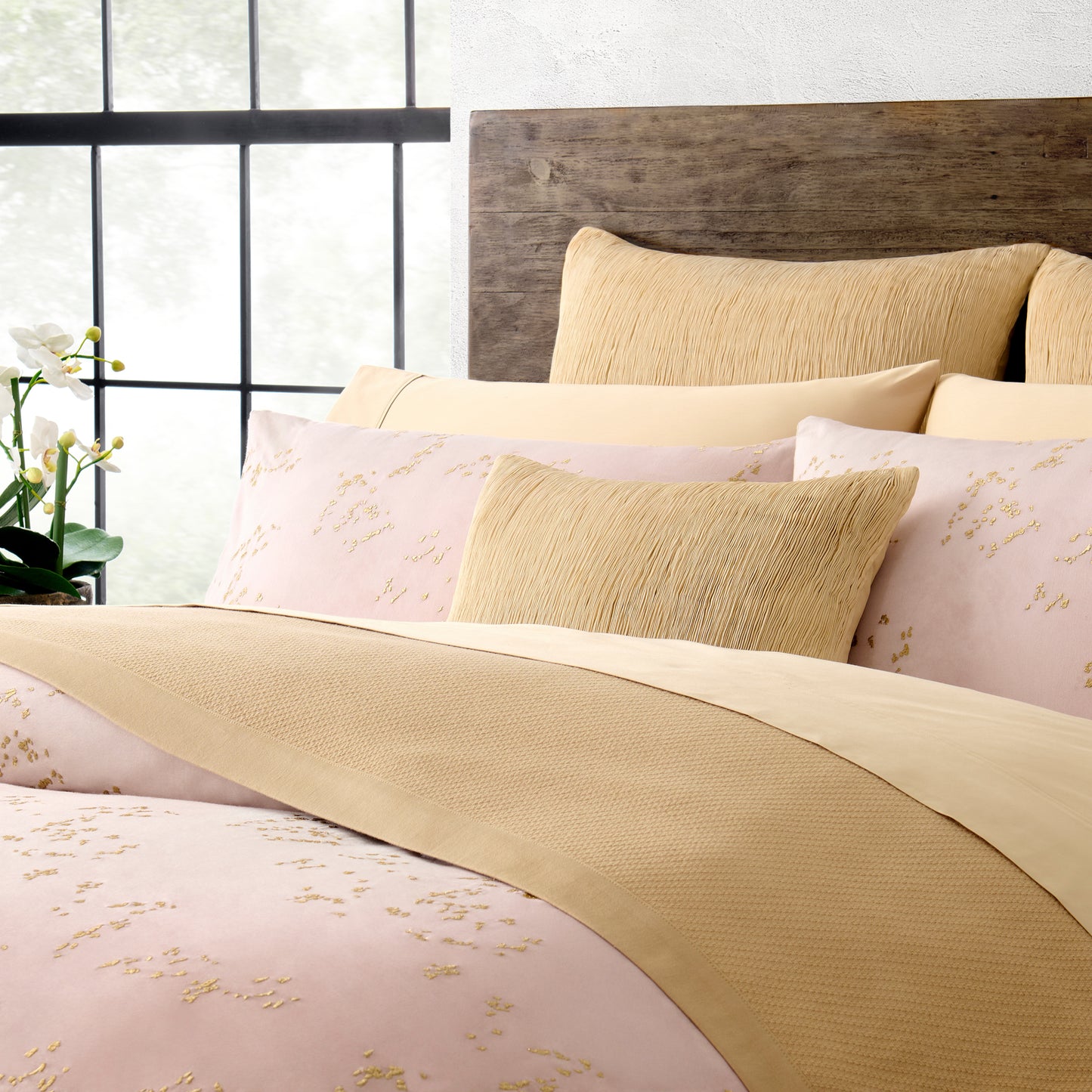Donna Karan Luxe Egyptian Cotton Blanket Collection