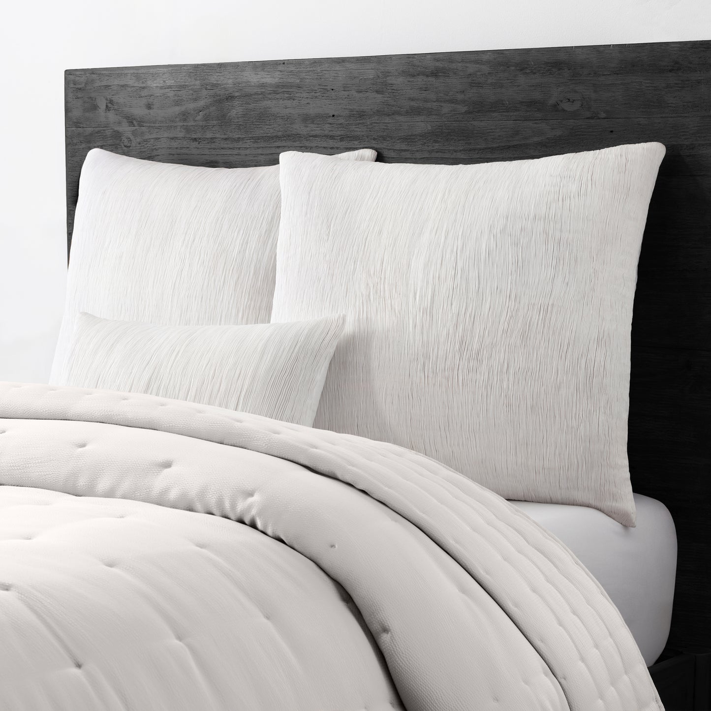Donna Karan Evolution Euro Sham Collection