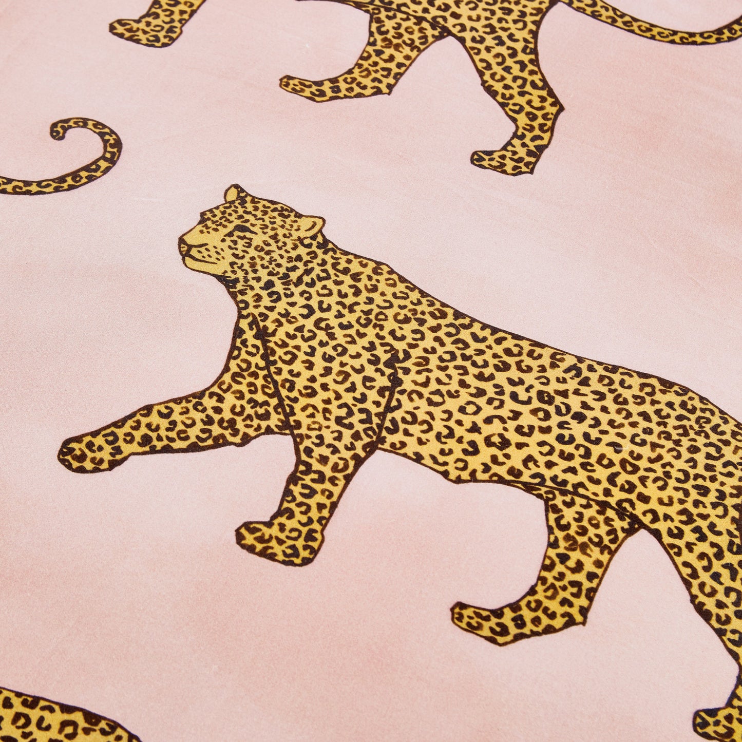 Peri Home Catwalk Comforter Bedding Collection