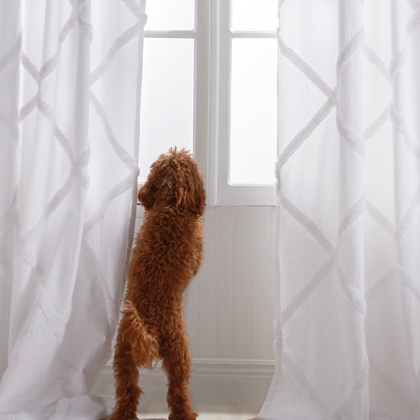 Peri Home Chenille Lattice Window Curtain Panel white