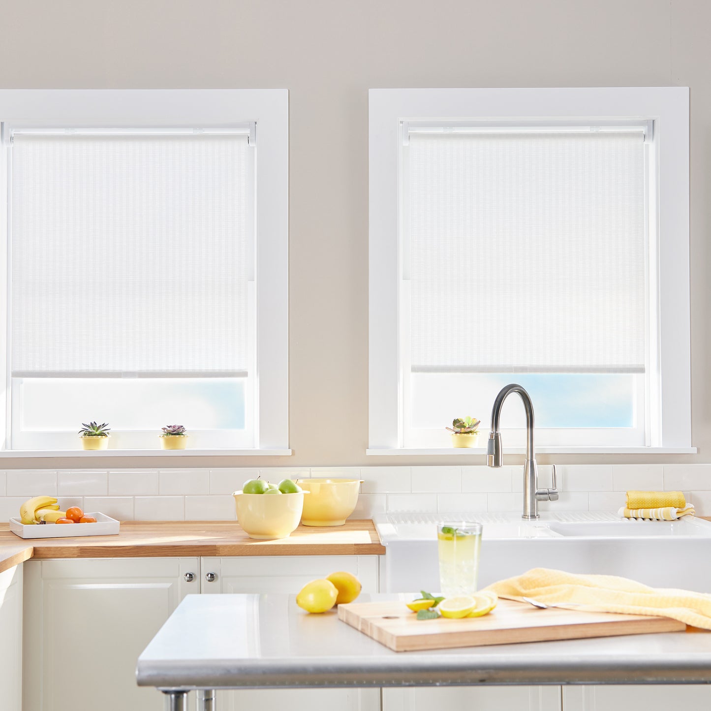 Curtainworks Palm Shades