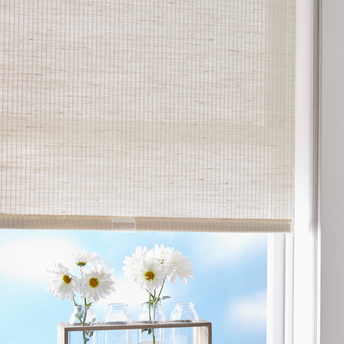 Curtainworks Miami Shade