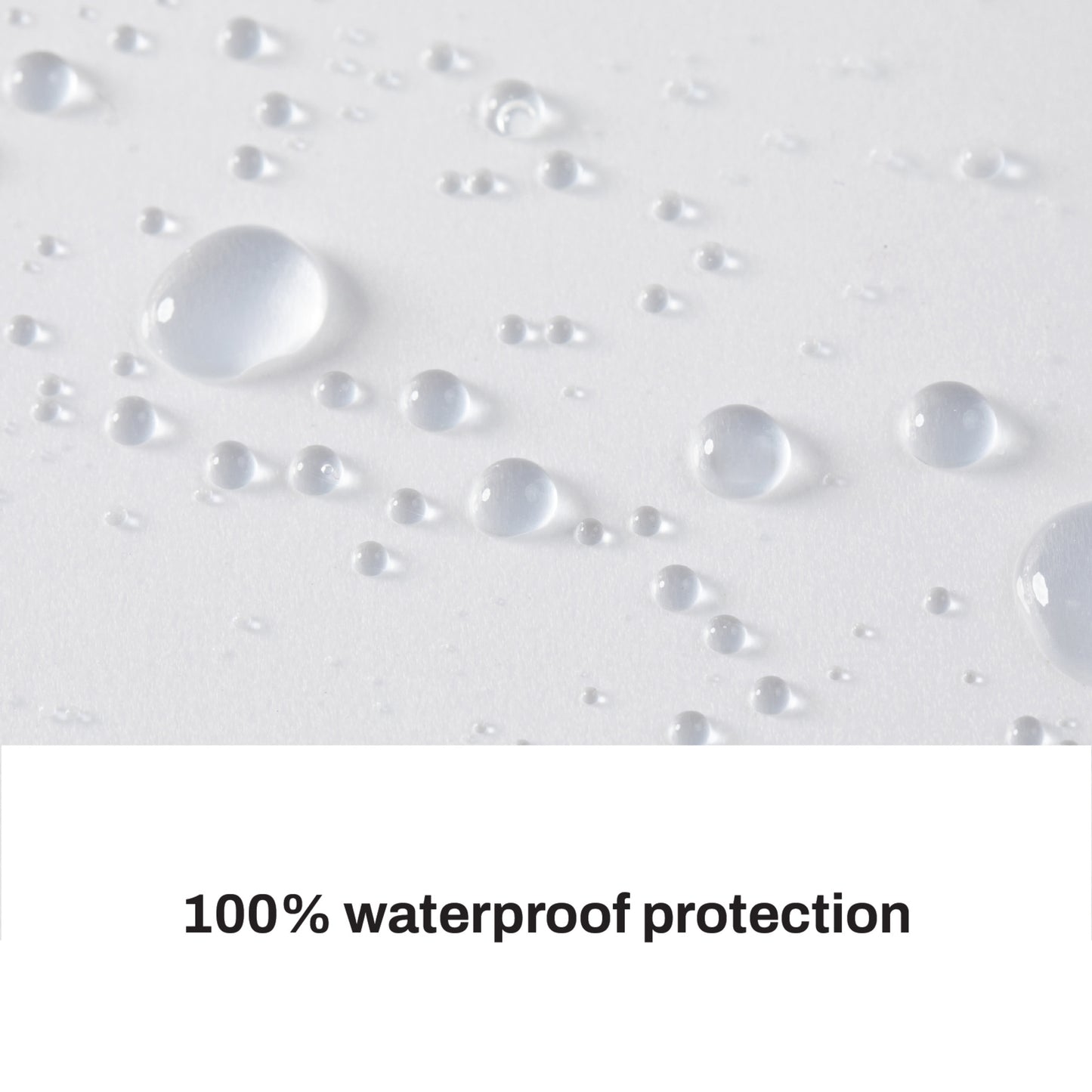 DKNY Frosty Shower Curtain Liner