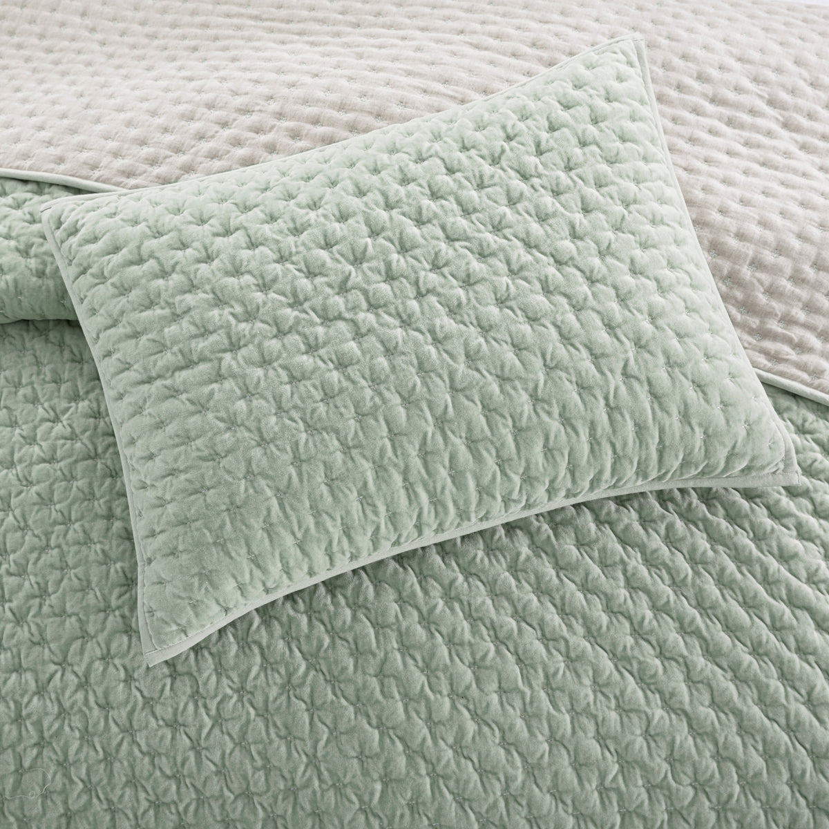 DKNY PURE Velvet Quilt Set