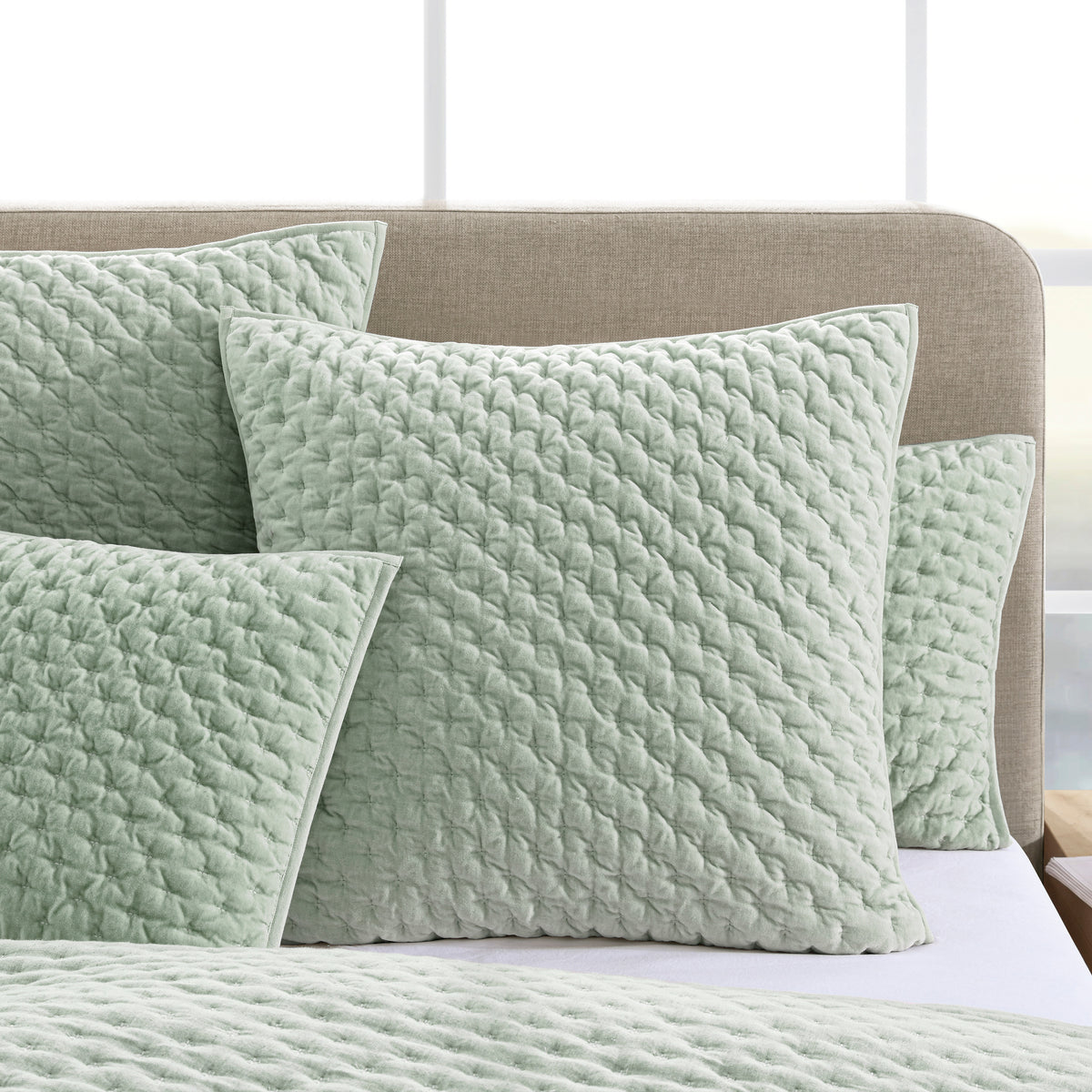 DKNY PURE Velvet Quilt Set
