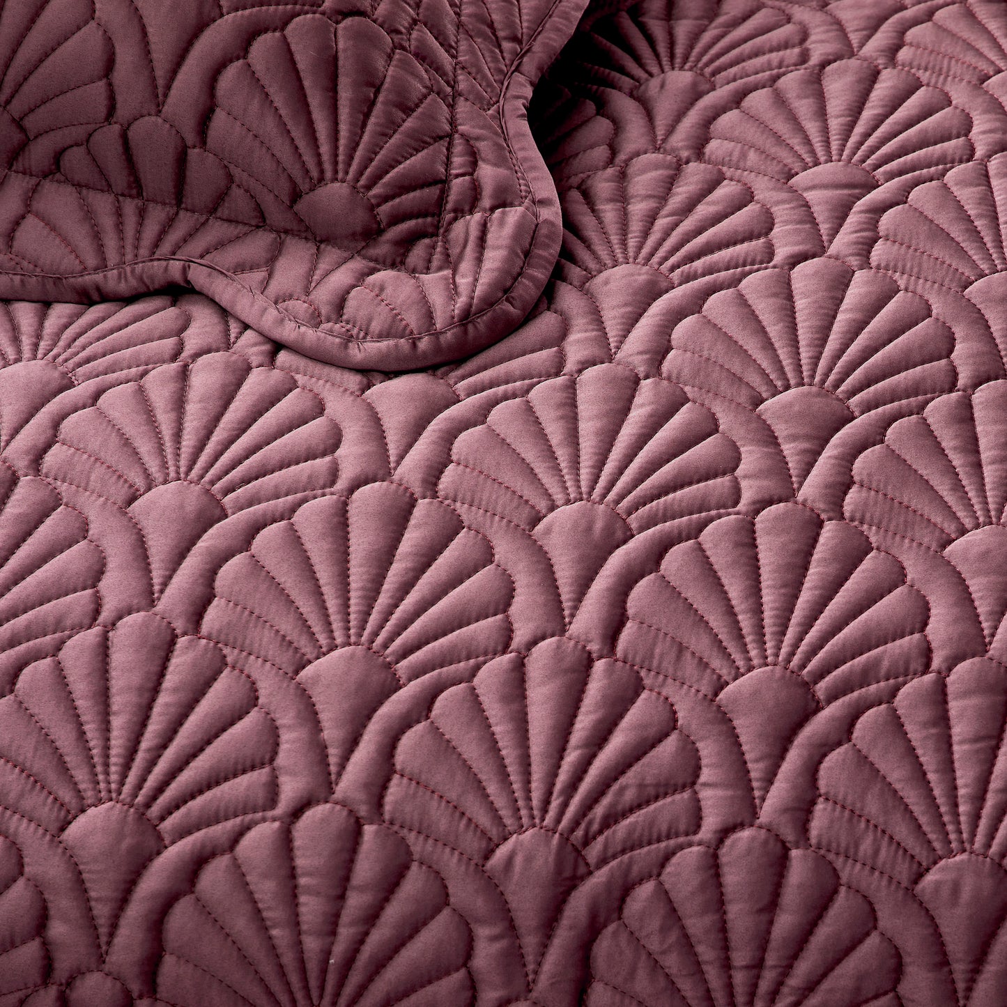 Ted Baker Deco Shells Quilt Set