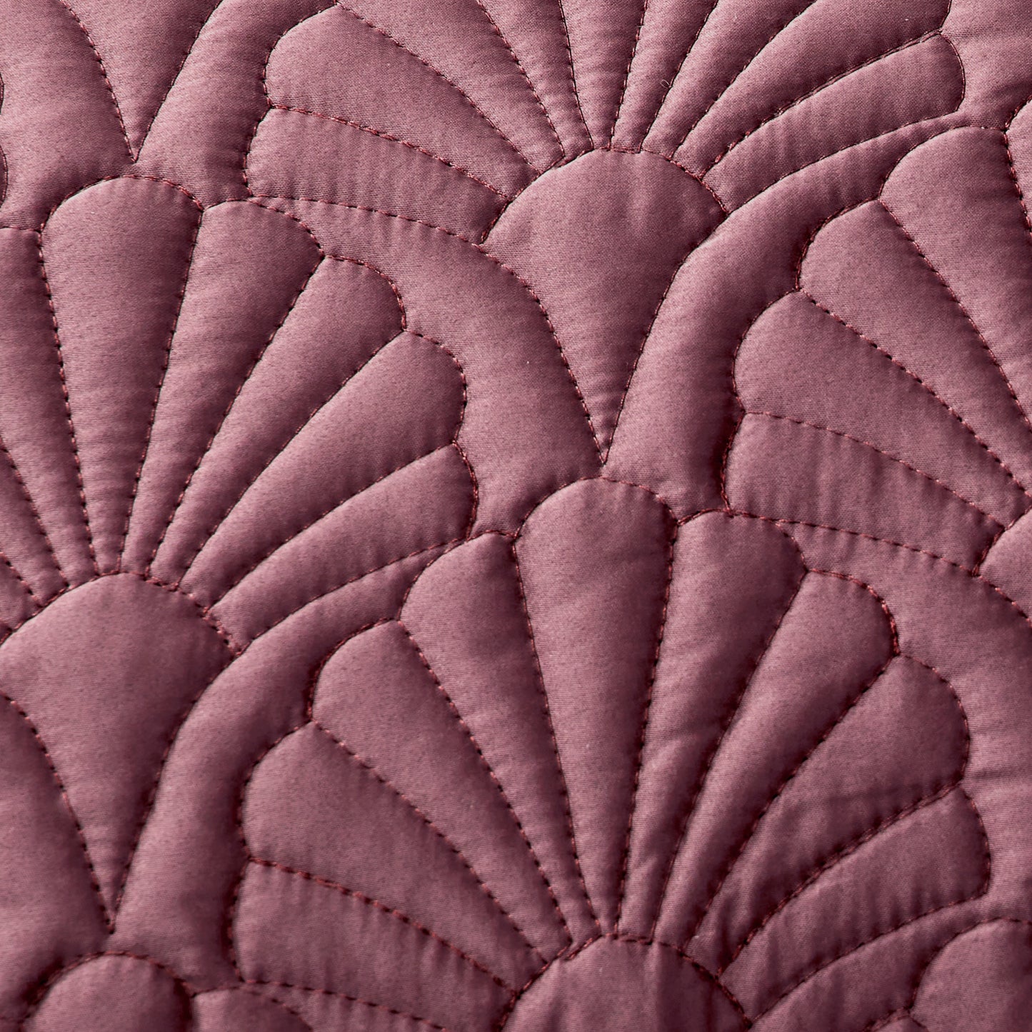 Ted Baker Deco Shells Quilt Set