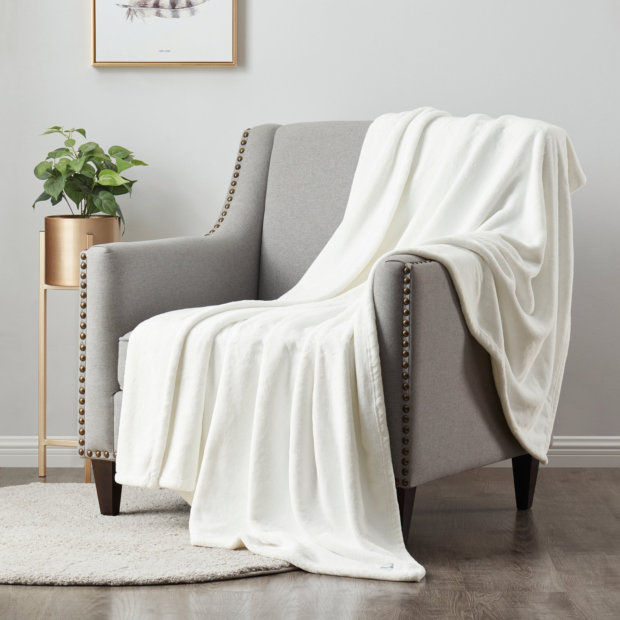 Brookstone Nap Plush Throw decoratd