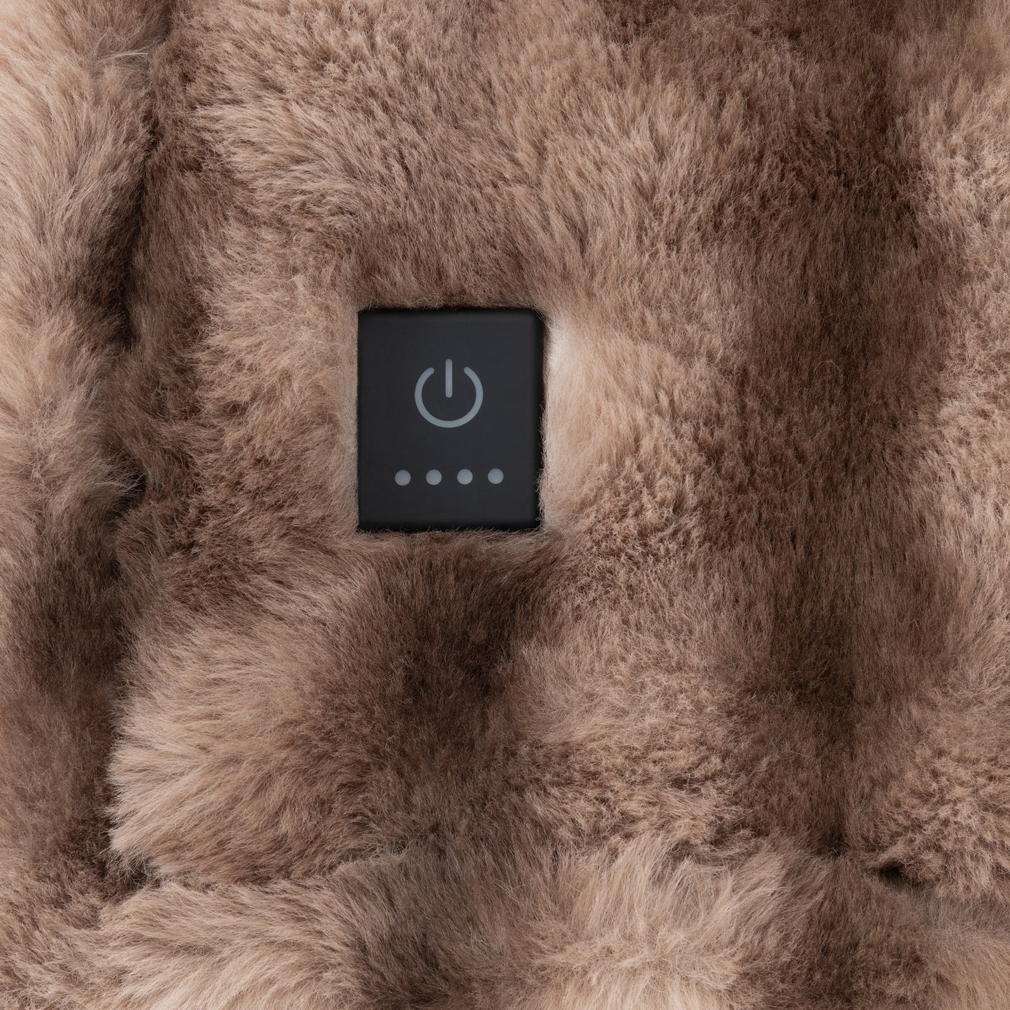 Brookstone Luxe Faux Fur Heated Throw